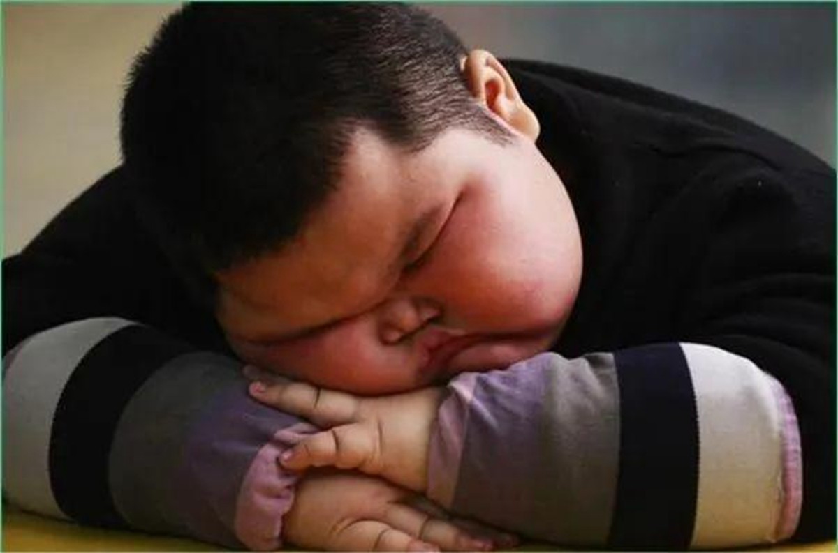 科学表明:相比于瘦的孩子,胖孩子更需要父母多操心,别不重视