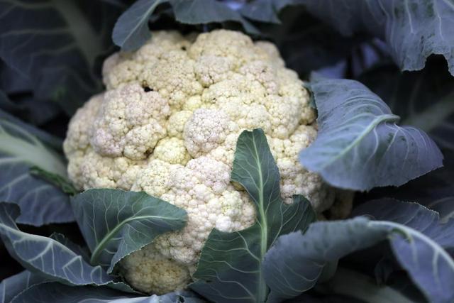 它是“天然叶酸”，中老年人隔天吃一次，骨骼强壮，防老年痴呆！