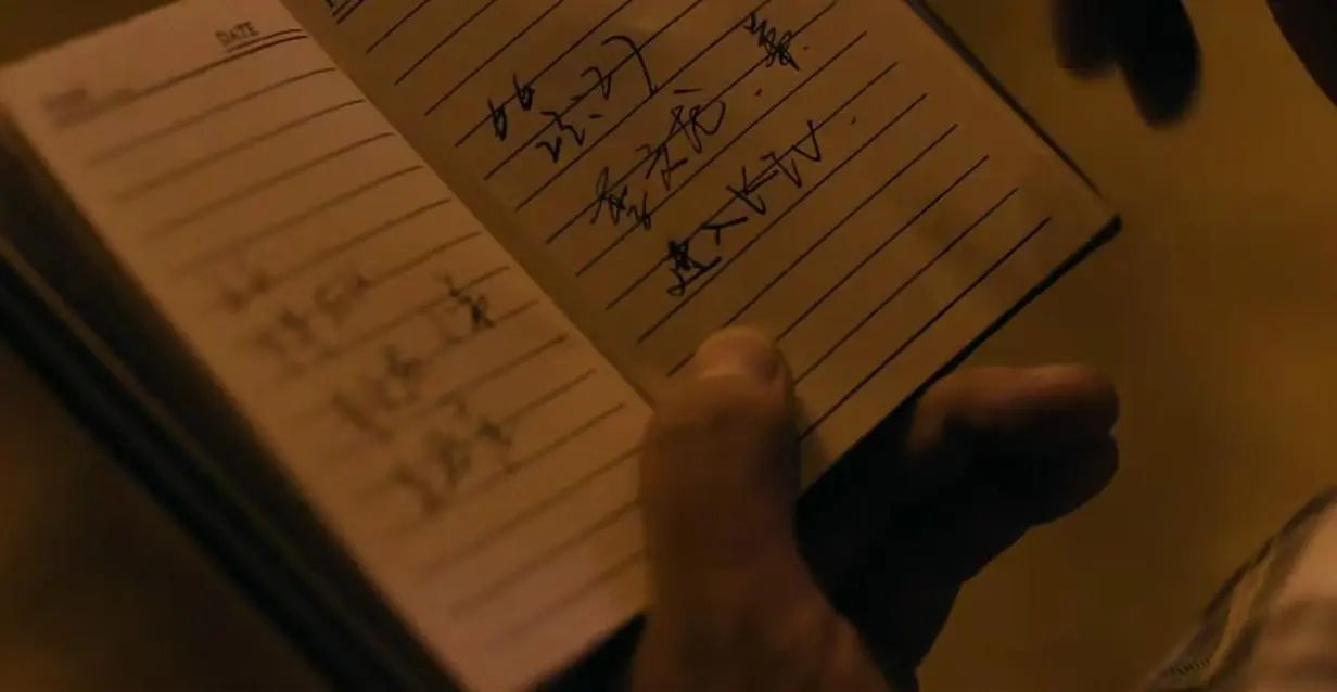 《雪迷宫》:直到秦义逃跑被灭口,郑北才知,卧底可能就在身边