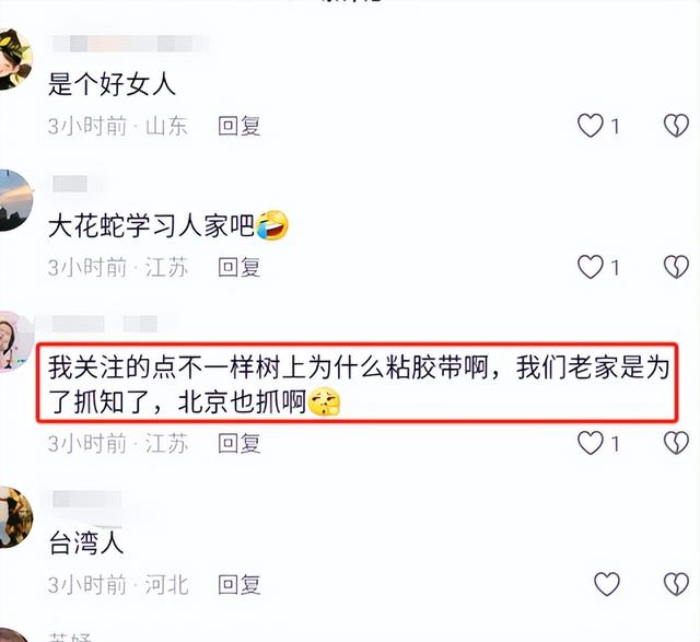 笑麻了，高圆圆陪女儿骑车，评论区网友炸锅