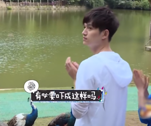 他把弟弟意外带入演艺圈,如今弟弟走红全国,自己却不温不火