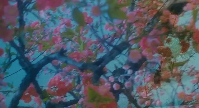 加五分钟重映破3000万!王家卫藏了25年的片段有何魔力?