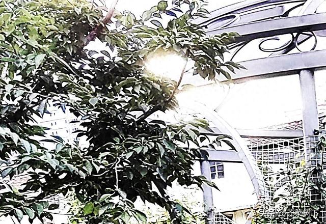 人在职场：答非所问，真的挺好用