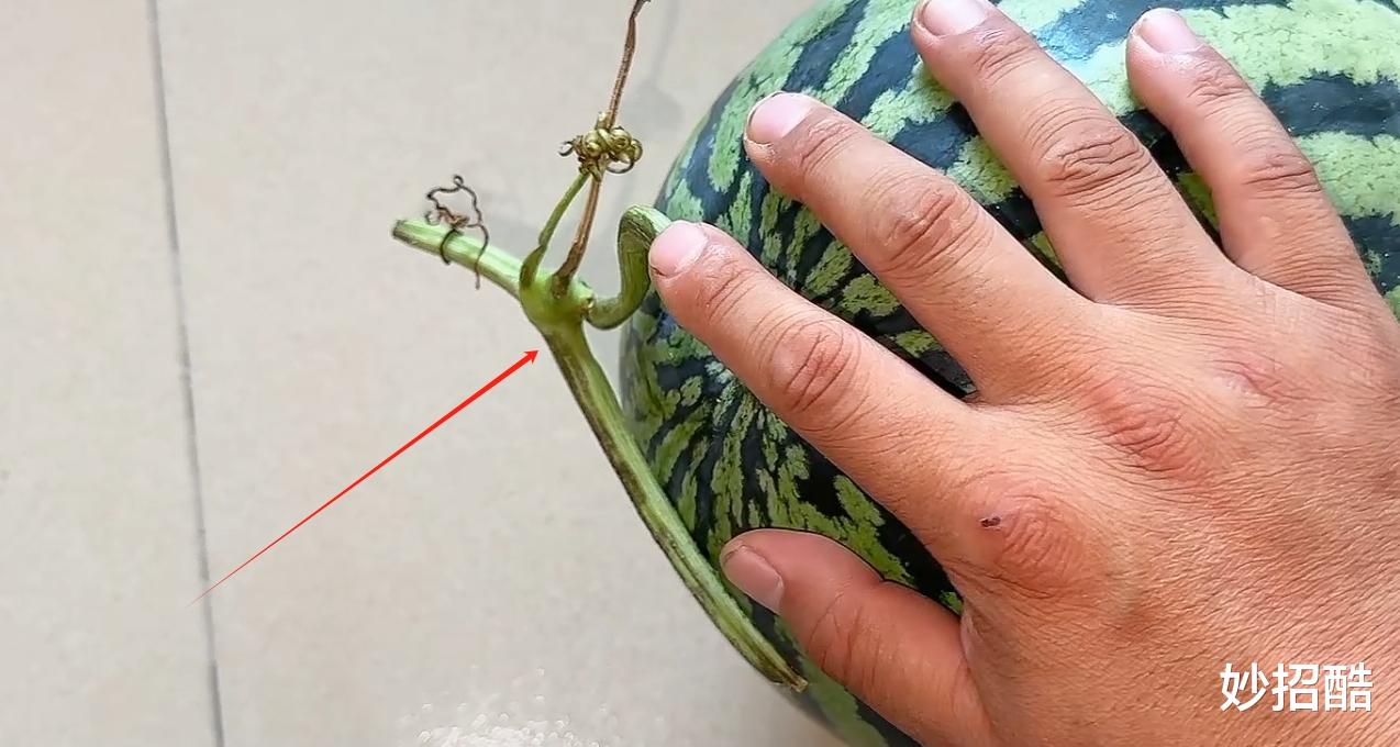 吃不完的西瓜不要放冰箱,老瓜农教我一个土方法,放一周也新鲜