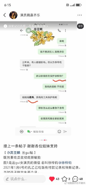 徐梓钧要求高亚麟不当言论公开道歉,网友却质疑她的观点