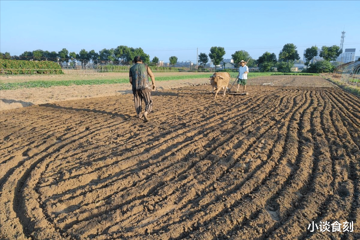 四月廿七“戊戌日”，俗语“逢戊3不做，不富也添喜”，哪3不做？