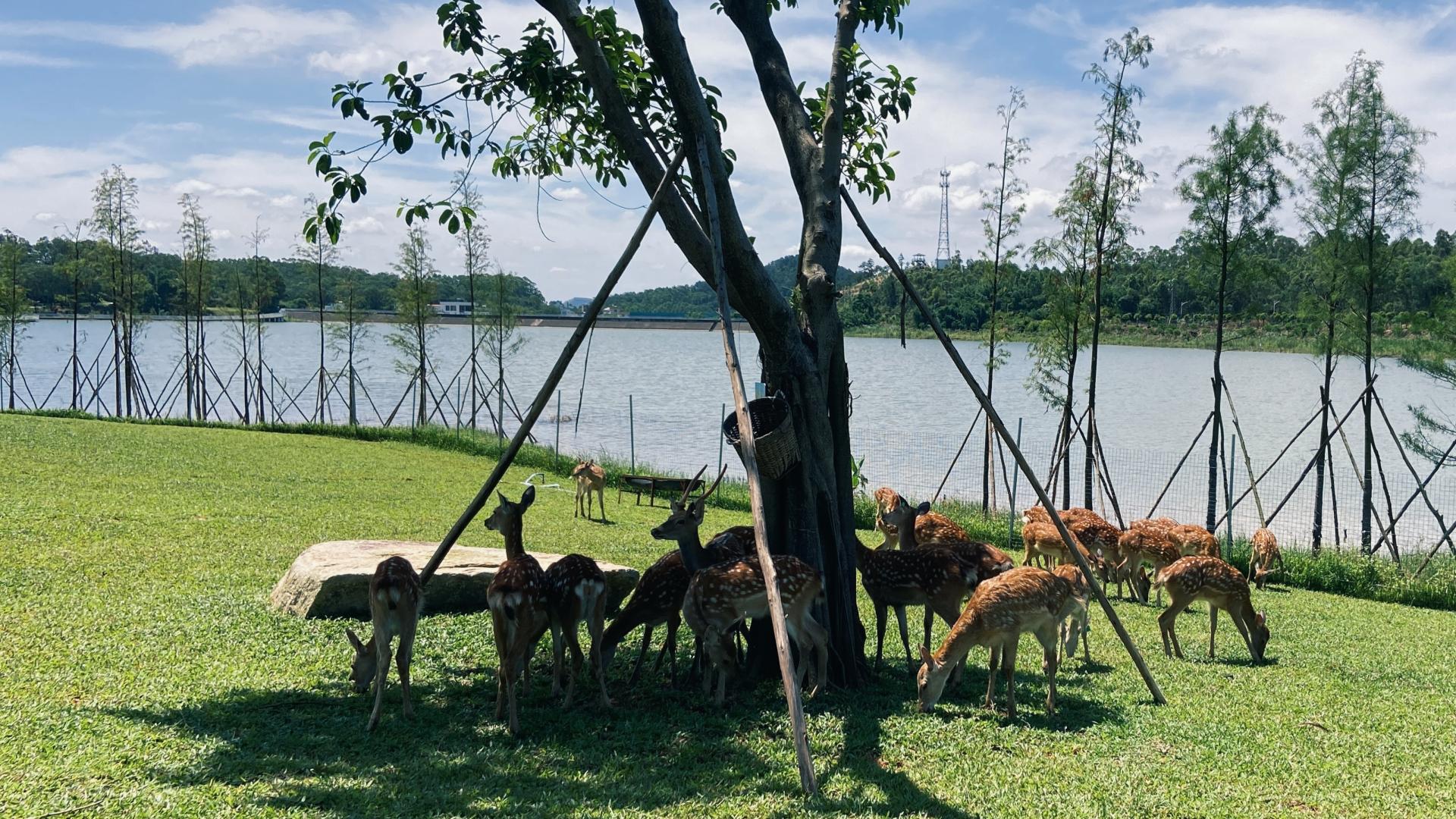 故事：头婚男人，娶二婚女人