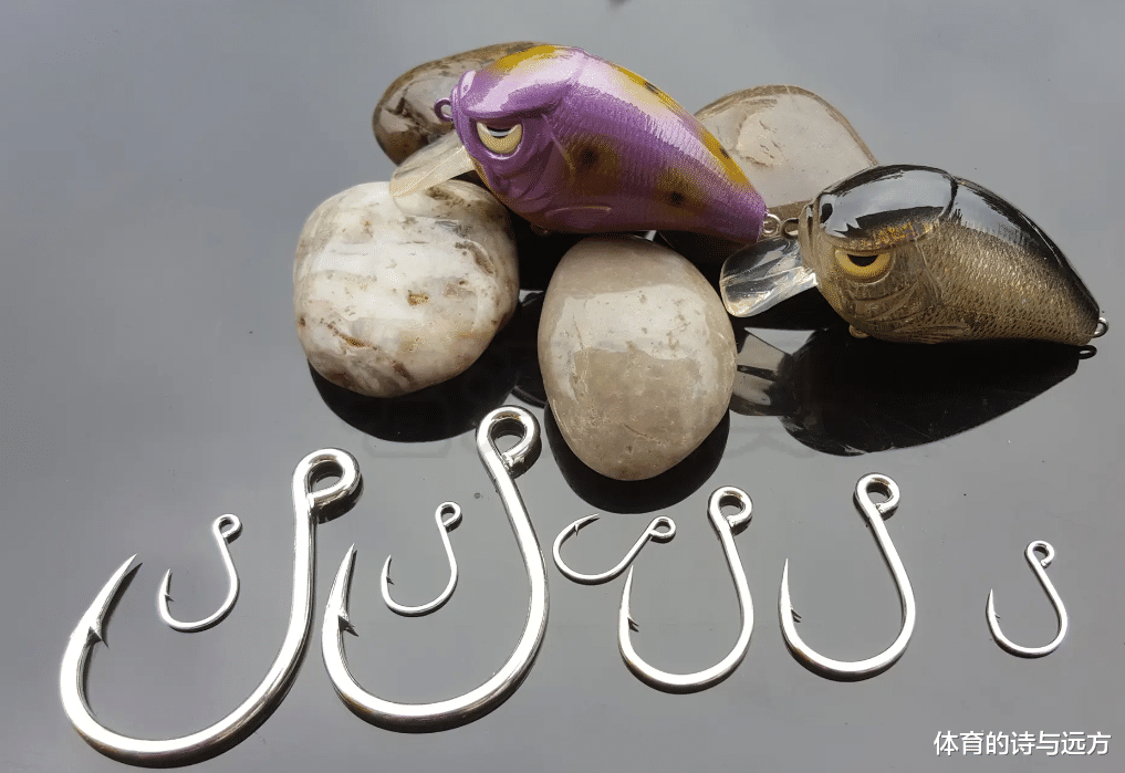 无倒刺钩与有倒刺钩，究竟怎么用，钓友吵翻了
