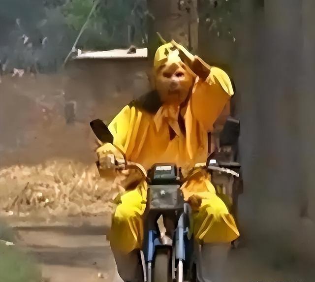 演员片场不拍戏的时候干啥?第一张忍住了,张铁林让人笑到肚子疼