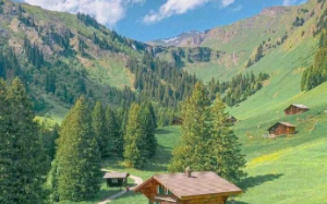 竹马为救白月光成了瘸子，我将他捡回家悉心照料才得以康复，却不料他立马做回了舔狗