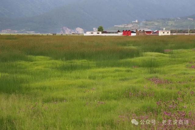 向上交往：如何通过与领导聊天来制造轻松氛围？