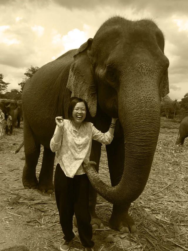 罗玉鑫 | 亚洲象连环画