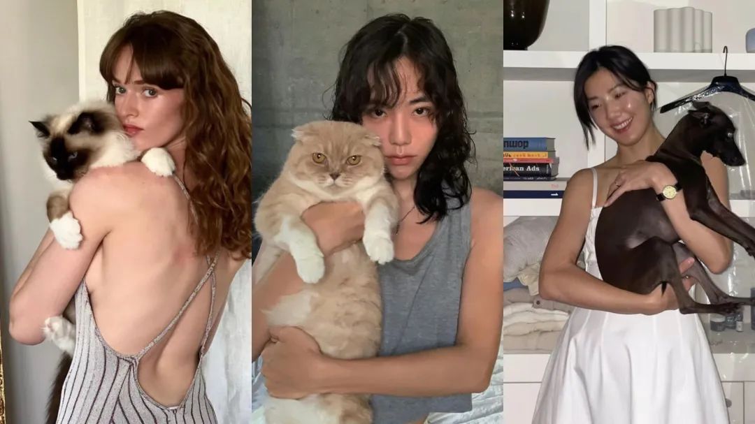 fbb险复出？靠着脸在江山在的她这回的人设居然是伏弟魔…