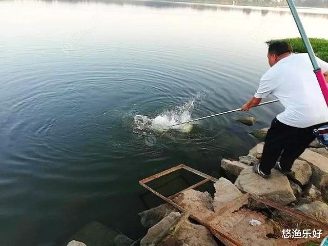 钓友间也应该遵循一定的礼仪规范,让每次垂钓都成为愉快的记忆