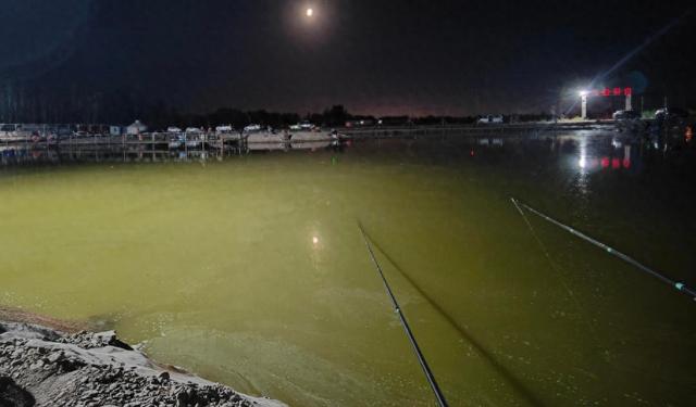 为什么夏季推荐夜钓?这8个优势,听我一一道来