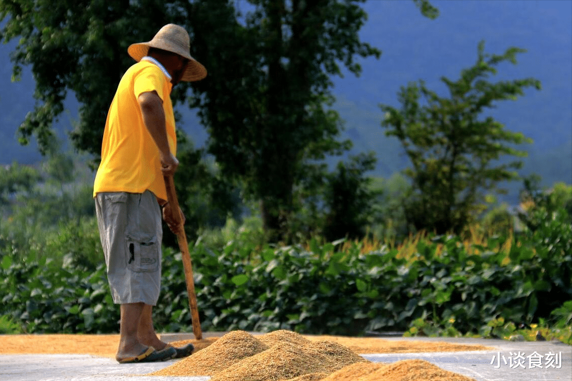 明日处暑,下雨好还是晴天好?处暑到了天气会凉爽吗?农谚有答案