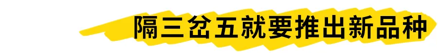 一路从路边摊追着吃到店里，老板说，啥稀奇就烤啥