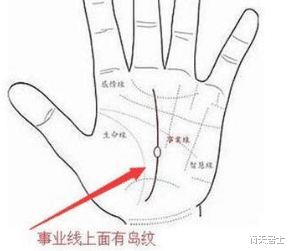 从手看事业职业特长