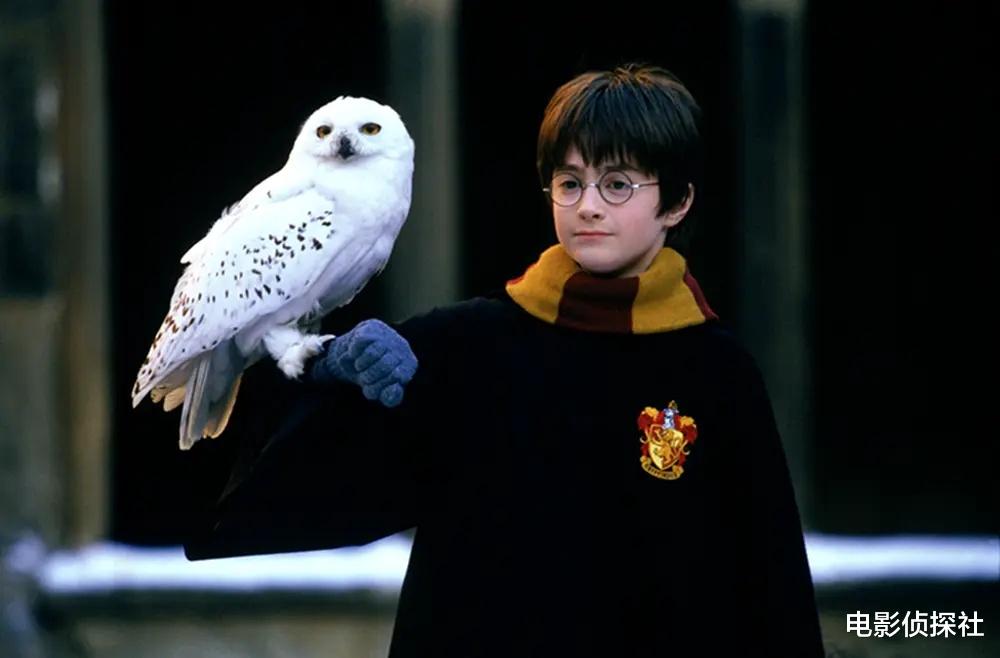 离谱!剧版《哈利.波特》赫敏将由黑人演员出演,网友直呼毁经典
