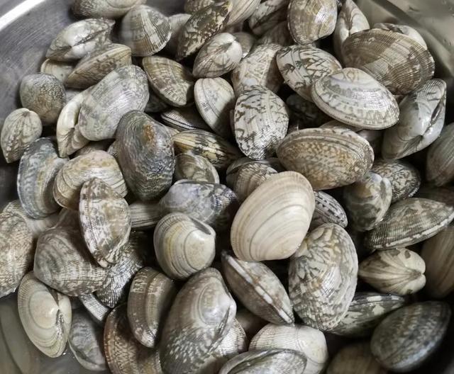 花甲吐沙,不用盐也不用油!教你一个好方法,5分钟吐干净!