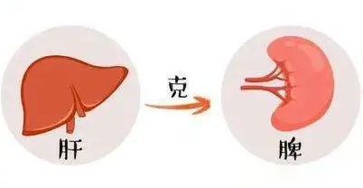 3个中成药，疏肝郁，清肝火，健脾胃，肝气通畅一身轻松！