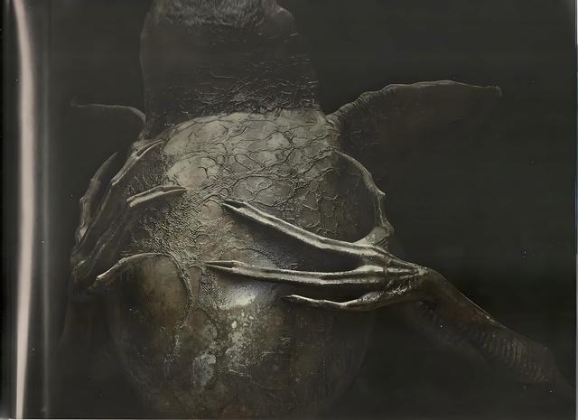 未删减《普罗米修斯》,工程师原来是这样创造了两种异形与黑水