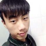 蚂蚁在滚职场球