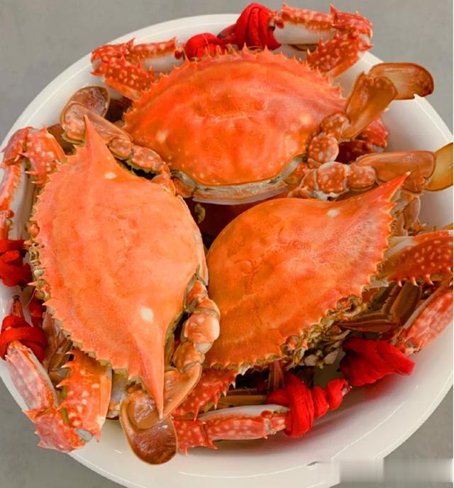 十只鸭子不如一只它,不懂的人,大喊寒性,识货的人已经蘸汁享用