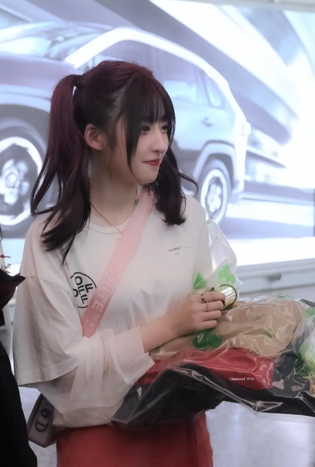 王思聪私生女的真相来了,小姑娘想女凭母贵,有人会帮她体面吗?