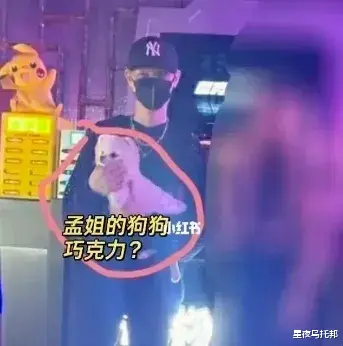 不是吧，他俩还没分手？