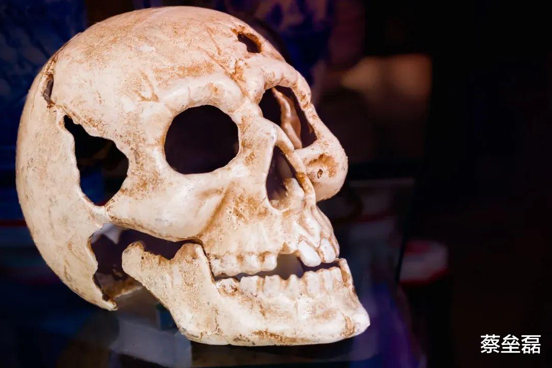 年轻人就该有反骨