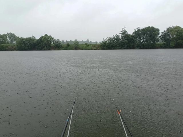 小雨整下了一天，小鱼闹钩厉害，鱼没有钓多少，把小轻竿搞折了