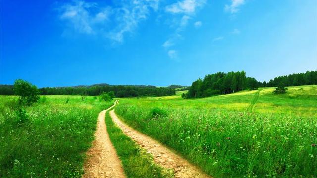 我26岁，跟着男领导出差，半夜他在隔壁发微信让我去他房间