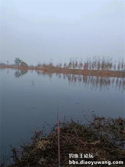 带上地狱猫，野钓有大鲫