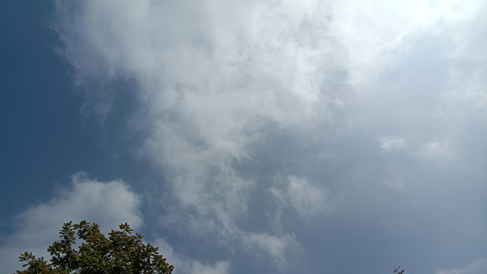 河南去年编制缩减5638名与今年编制招聘6985名，只说明了一个问题