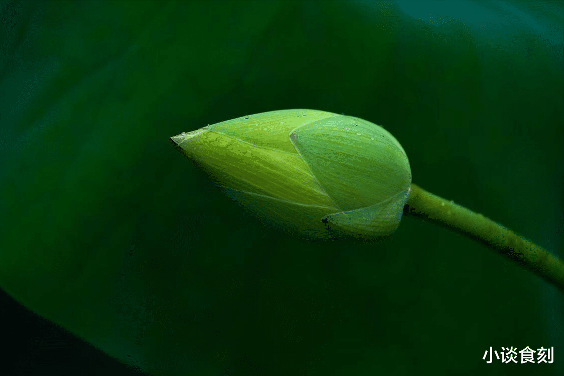 7月25中伏，“雨淋中伏头，遍地是黄金”啥意思？下雨有啥预兆？