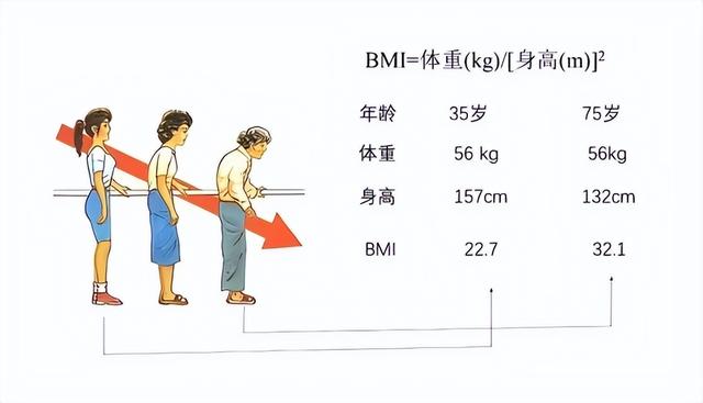 寿命与体重的关系被发现:50岁后,体重越接近“这个数”,越健康