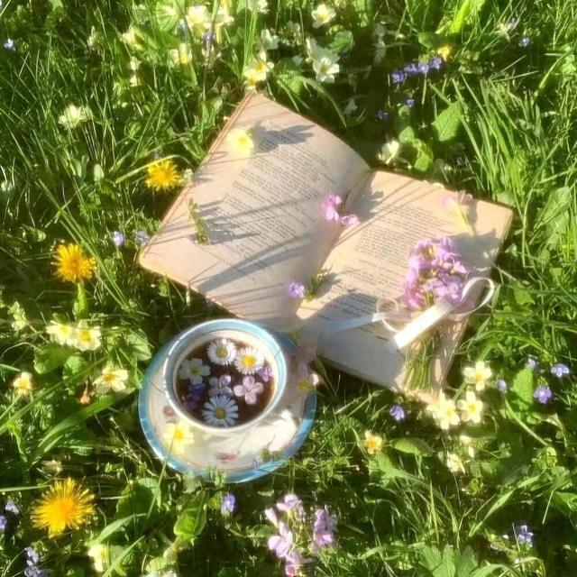 7月7号起,钱财滚滚来,恋爱运势飙升,命中注定要逆袭的四大星座