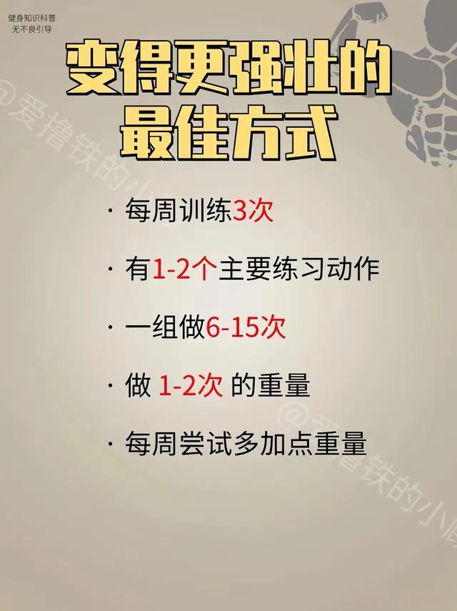 每天练不等于长肌肉