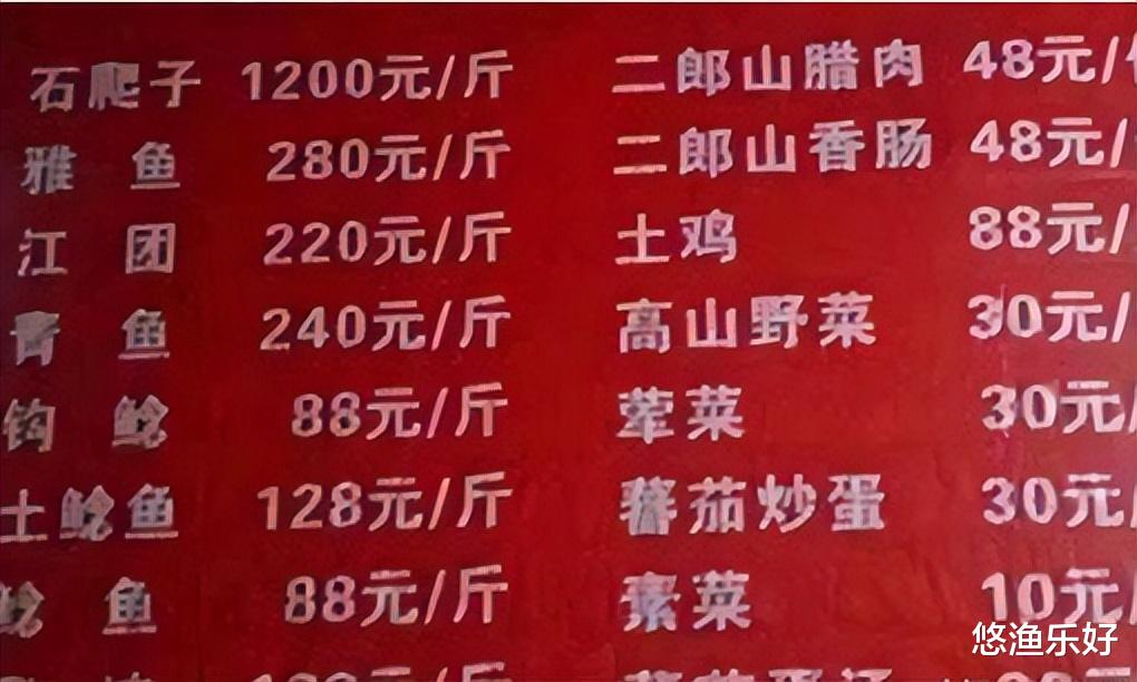 石爬子鱼:溪流中的生命精灵,面临濒危!钓友们应该怎么做?