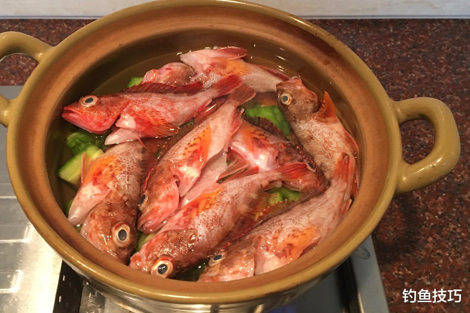 夏季钓虎头鱼的4个技巧，海钓虎头连竿上鱼