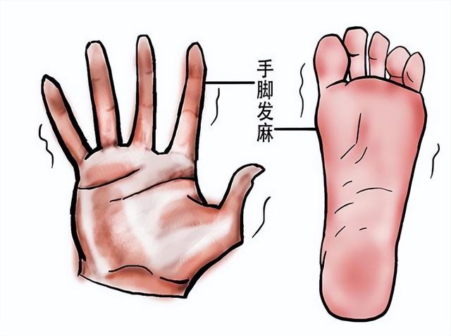 心血虚手抖，肝血虚抽筋，气血虚手脚麻，教你一招补心补肝补气血