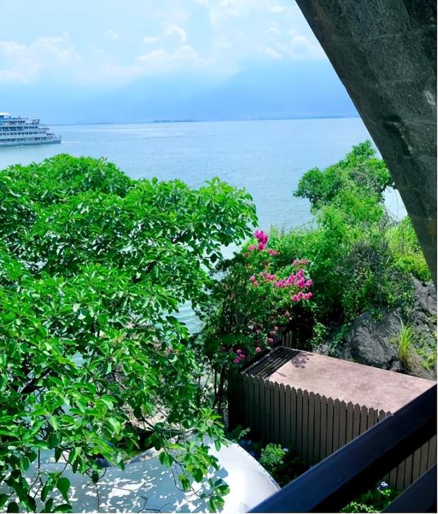 杨丽萍的“院子”火了,圈粉无数人,网友:这才是“人间仙境”!