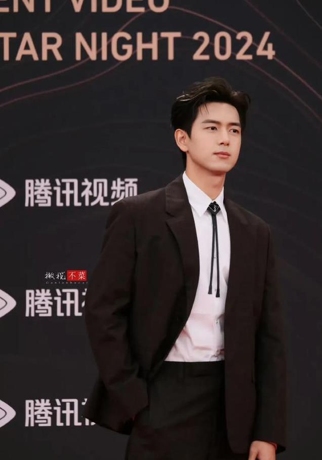 平心而论,内娱真正的绝色美男只有12位,他们酷帅雅痞,清新性感