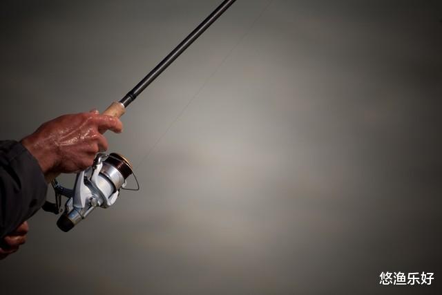 小矶竿成为了许多钓友的新宠，从小矶竿的入门到精通分享给你！