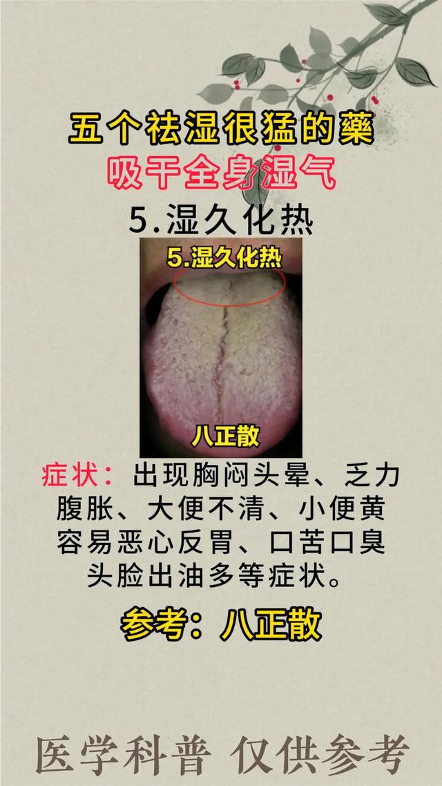湿气重？别怕！五大神奇药材，轻松吸干体内湿气