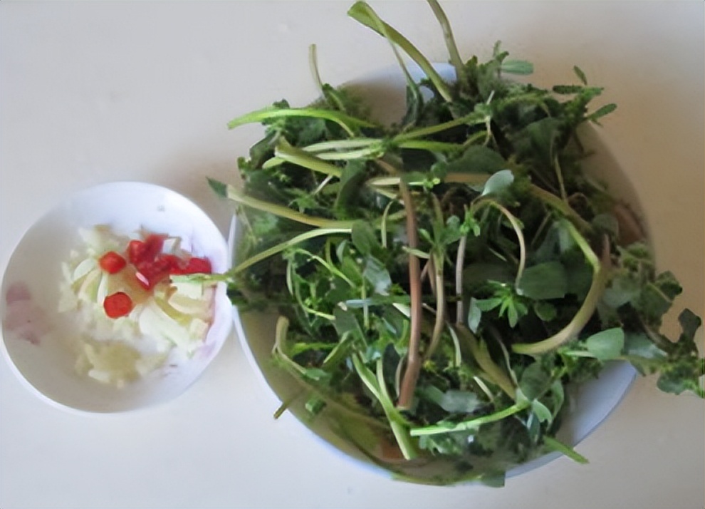 4月，这菜全身是宝，却被人当成草，农村遍地都是，拌一下很开胃