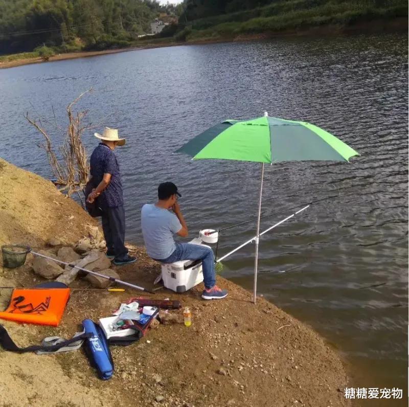“野钓”时代终结? 垂钓备案制度! 钓友们怎么看待?