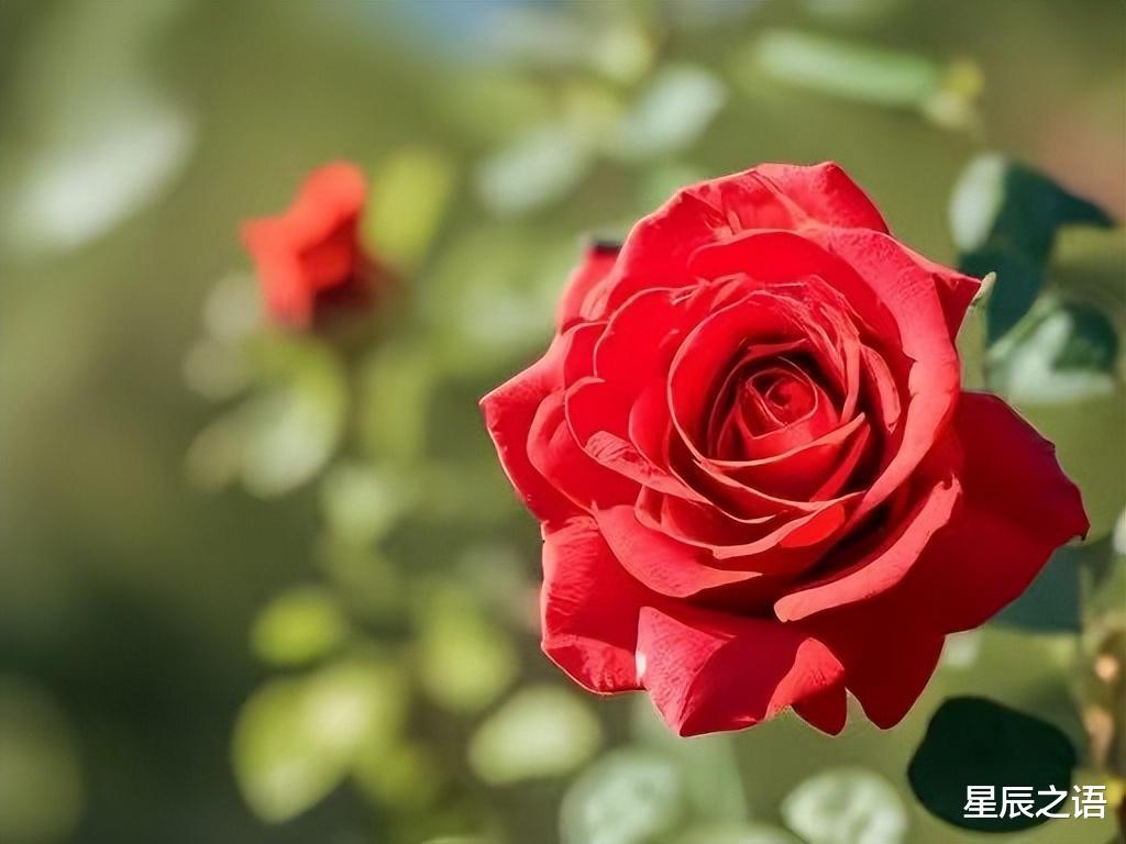 十二星座六月职场禁忌：避免这些错误，事业更顺利！