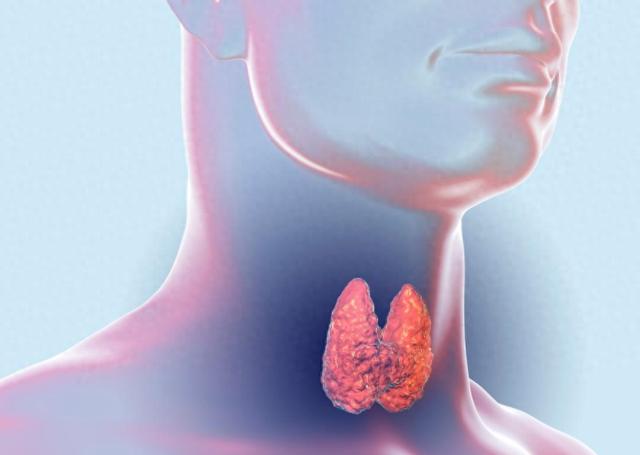 甲状腺结节别紧张，老中医分享一个特效方，把结节“斩草除根”！